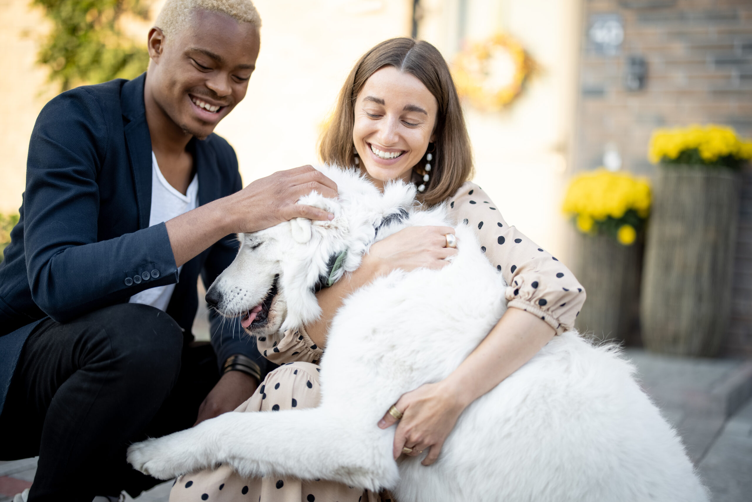 Happy dog with owner left