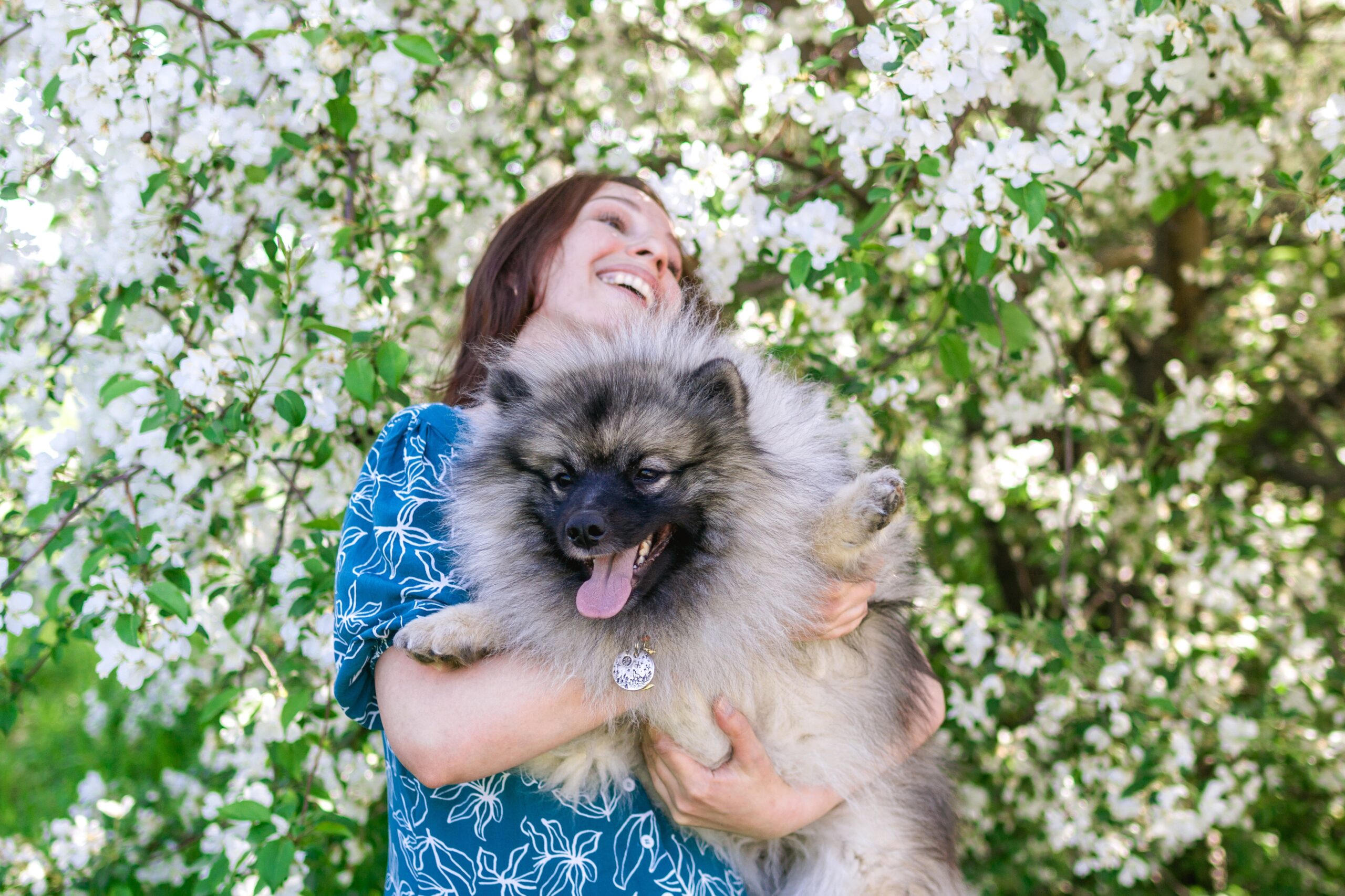 Happy dog alone